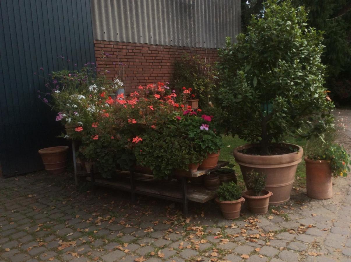 Ferienwohnung Haumannshof 크산텐 외부 사진